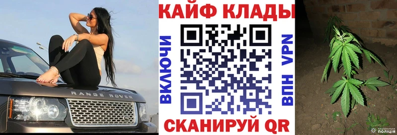 Купить закладку Псилоцибиновые грибы  Кокаин  Меф  Марихуана  Гашиш  MDMA  A-PVP  Ясногорск