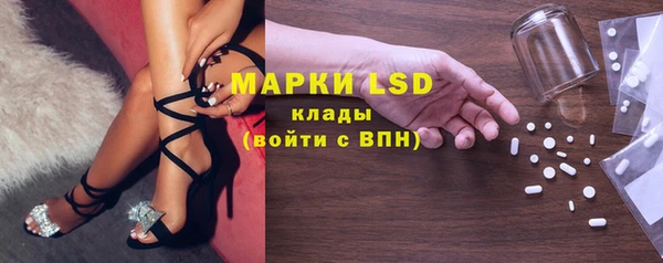 бошки Елабуга