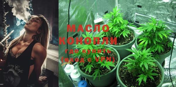 метамфетамин Ельня