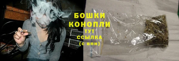 крисы Елизово