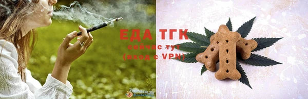 метамфетамин Ельня
