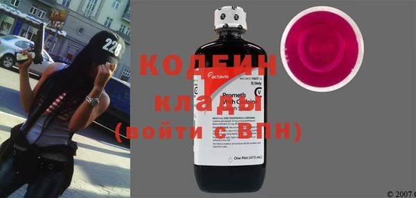 крисы Елизово
