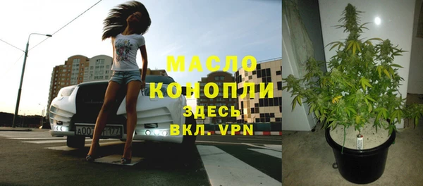 бошки Елабуга