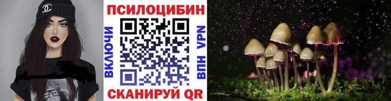 Псилоцибиновые грибы GOLDEN TEACHER  Купить  Ясногорск 