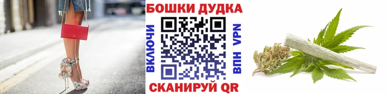 Бошки Шишки планчик  Купить закладки  Ясногорск 